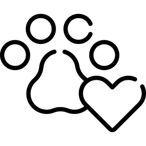 Locco ahşap oyuncak hayvanlar alemi kategorisi